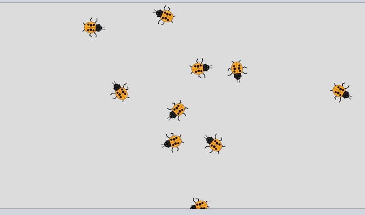 Ladybugs Thumbnail