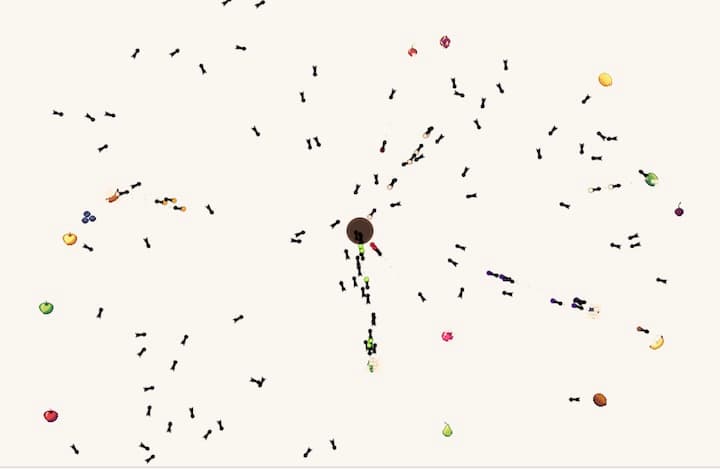 Ants Thumbnail