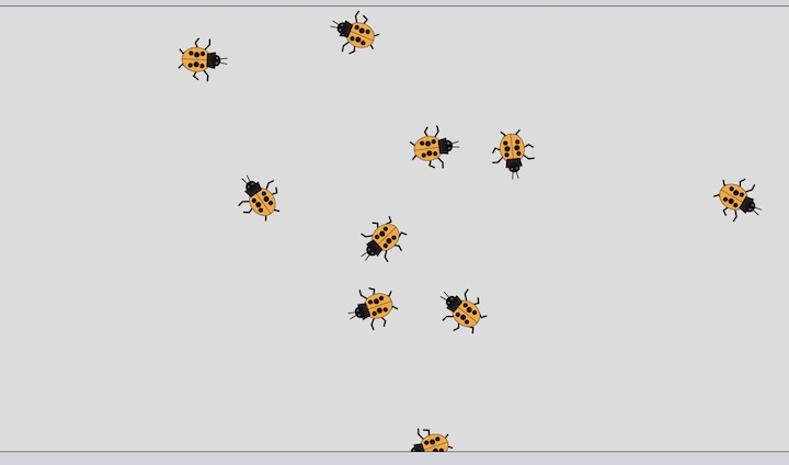 Ladybugs Thumbnail